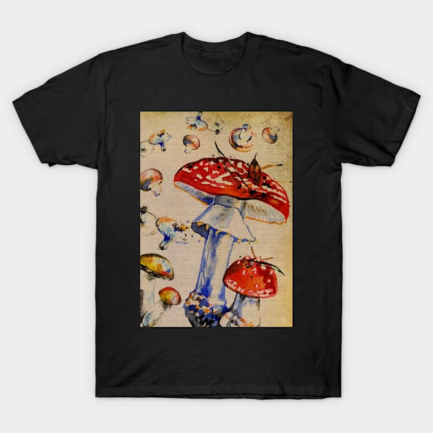 Fly agaric amanita muscara mushroom vintage dictionary print design T-Shirt by madhatdesigns